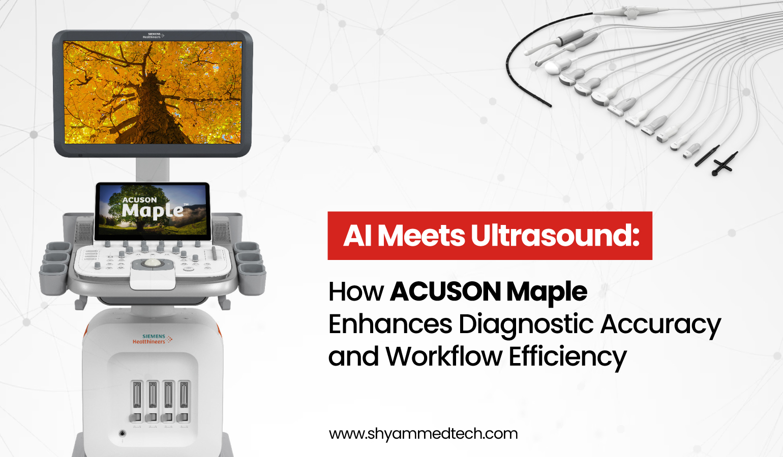 AI Meets Ultrasound: How ACUSON Maple Enhances Diagnostic Accuracy and Workflow Efficiency